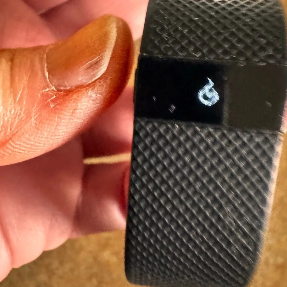 Fitbit Black Fitness Wristband